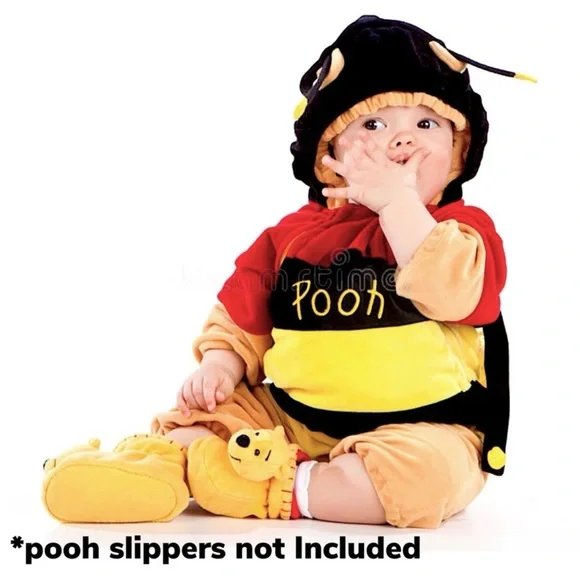 Disney Winnie the Pooh Honey Bee Outfit Size 18-24 Months - Picture 2 of 9